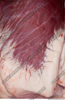 Photo Textures of RAW Pork Meat